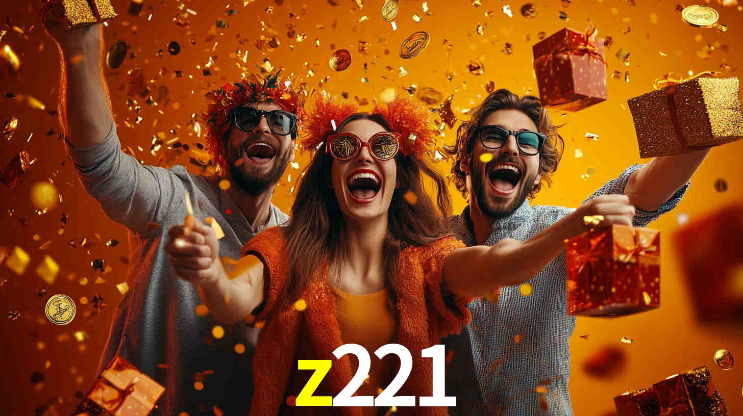 z221.com